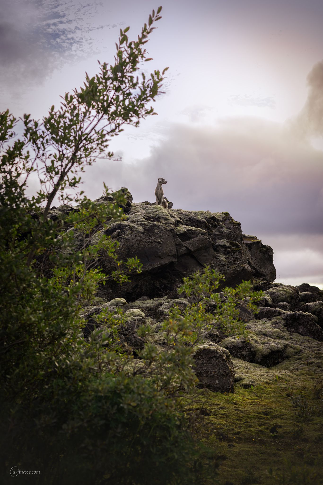 ijsland