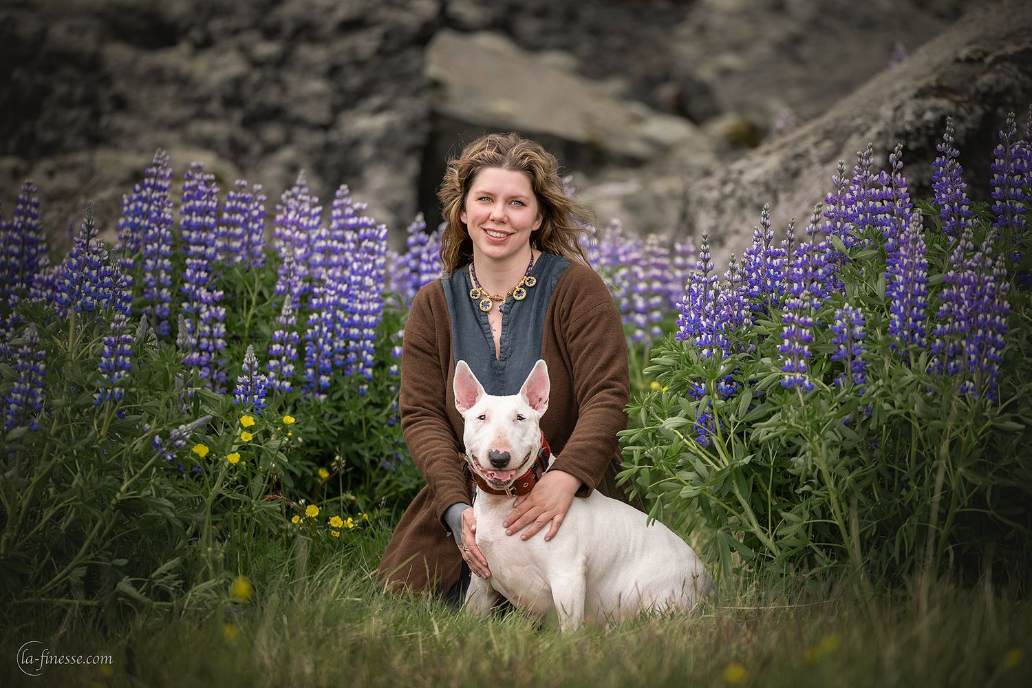 honden van ijsland