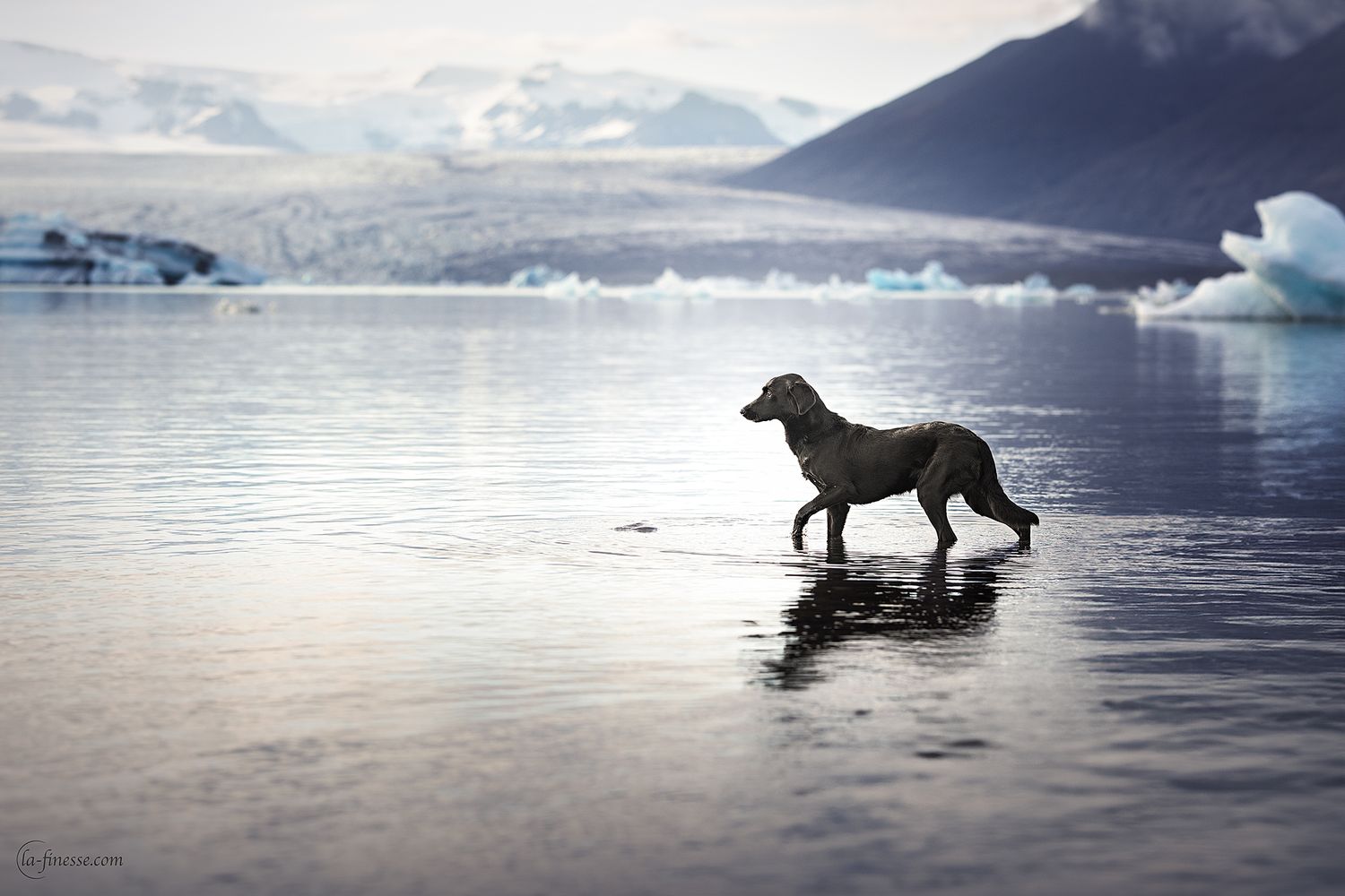 ijs