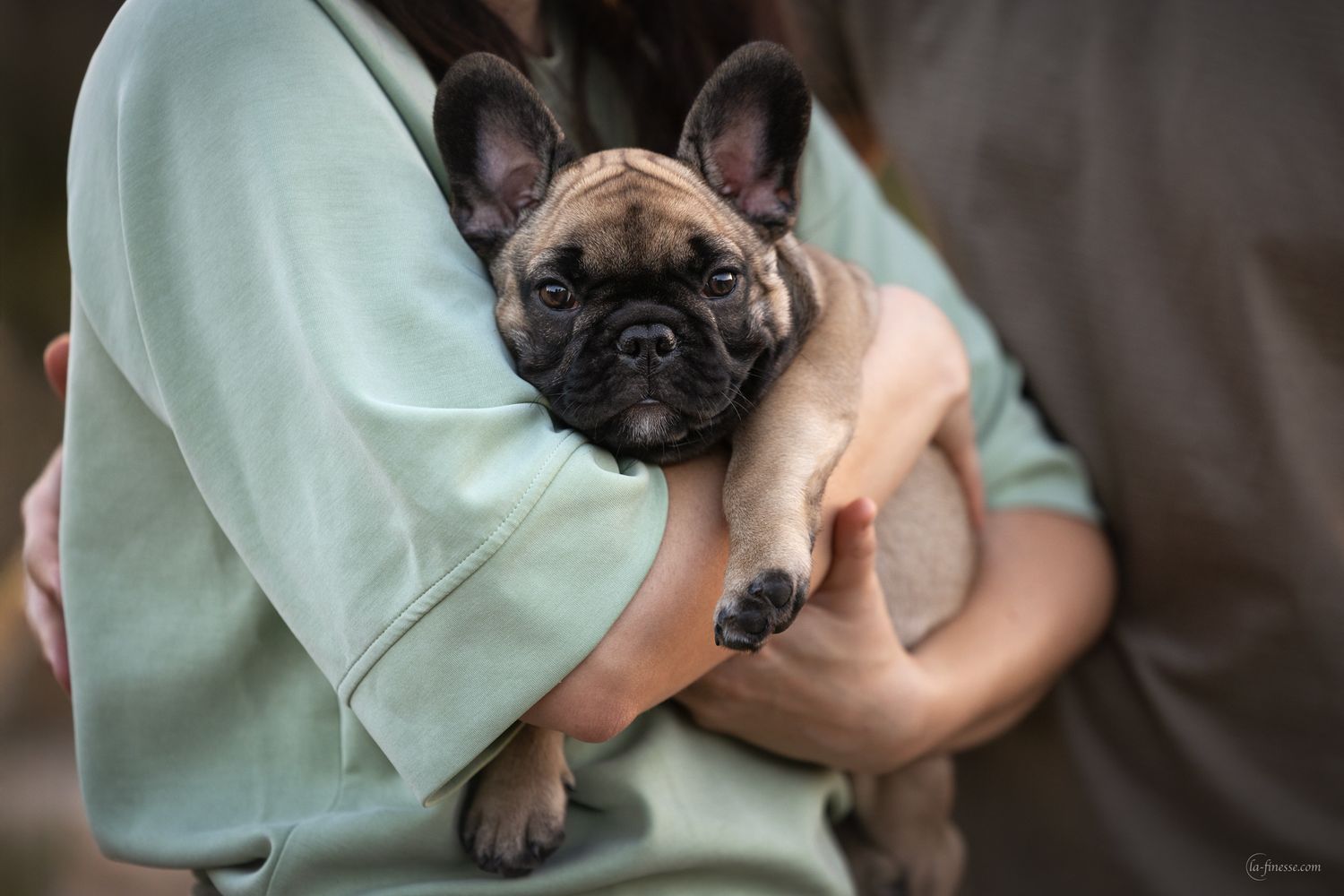 hond met eigenaar fotograferen