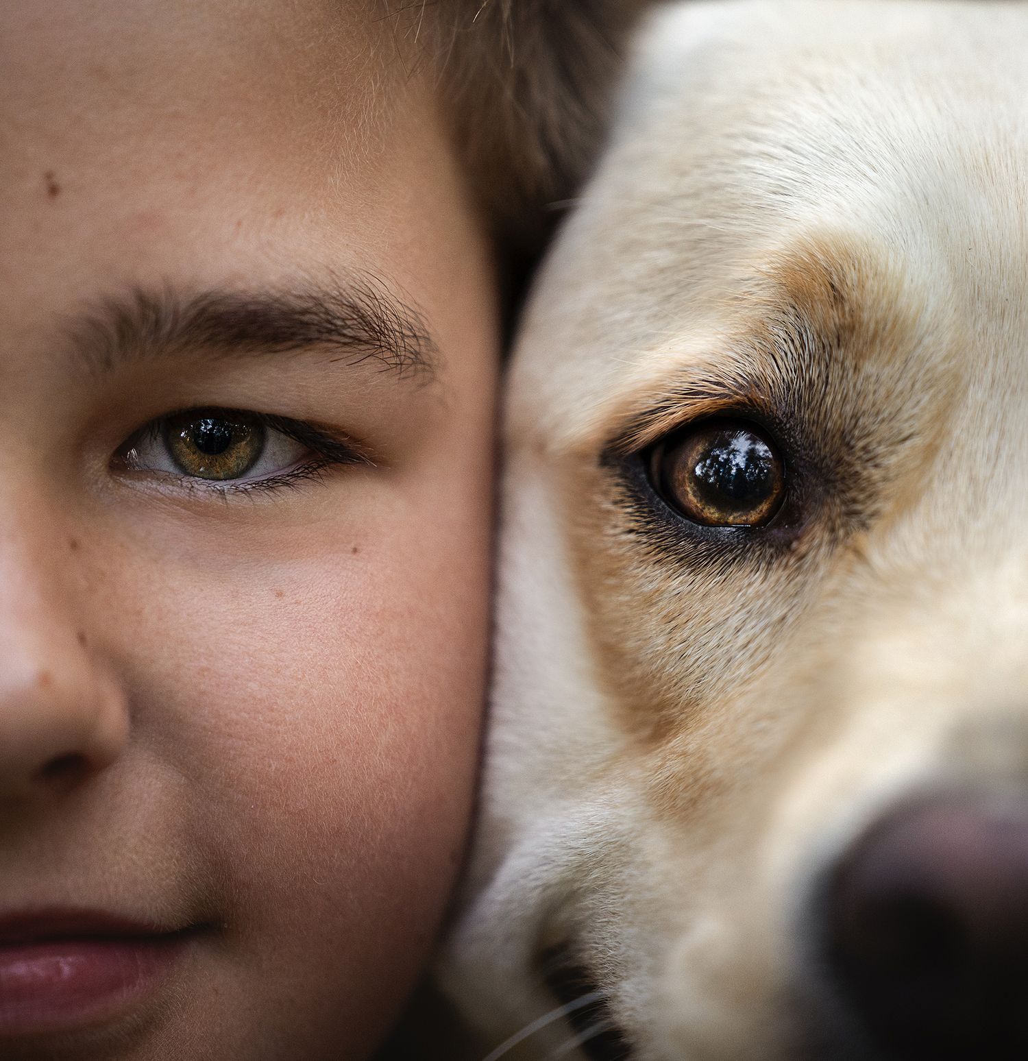 hond met kind