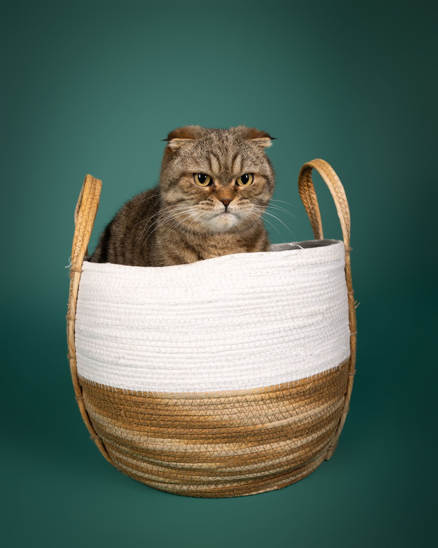 poes in mand
