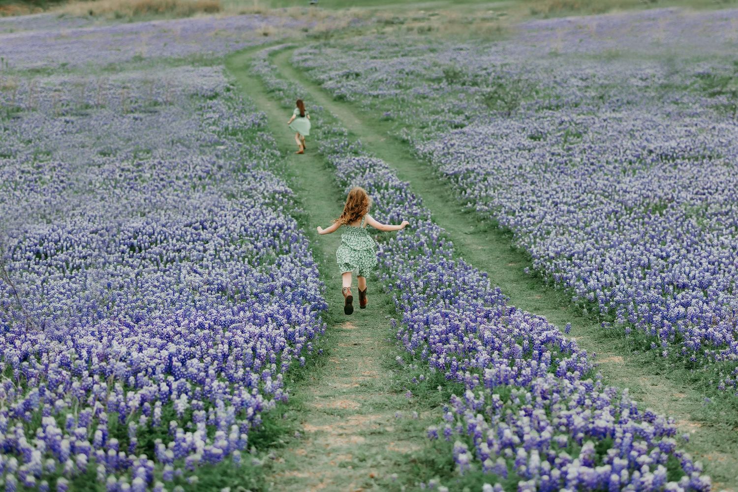 Two young girls in dresses running through a vibrant field of blooming Texas bluebonnets at Muleshoe Bend in Spicewood, TX.