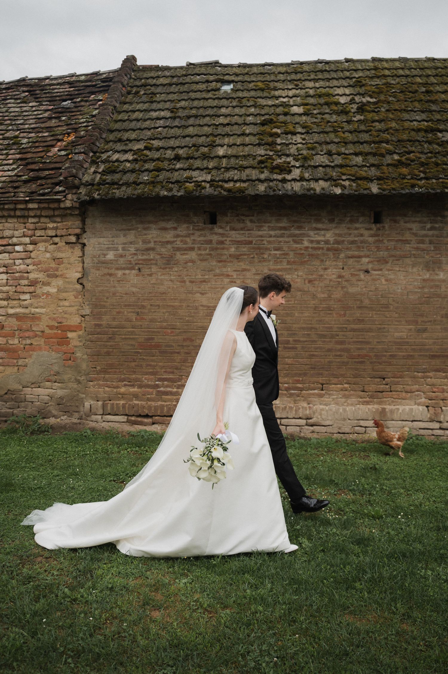 Wedding couple walks along brick wall with trailing dress and roaming chicken in background.
