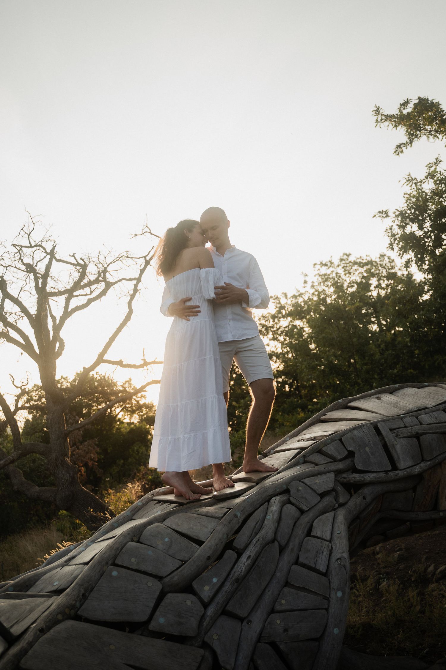 A couple embraces on a rocky outcrop during sunset with trees silhouetted in the background.