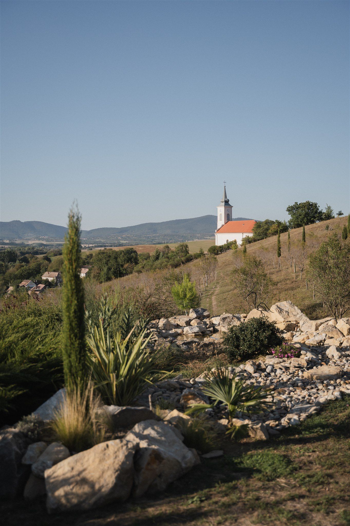 Scenic hillside landscape with cypress trees and a white church steeple in the distance.