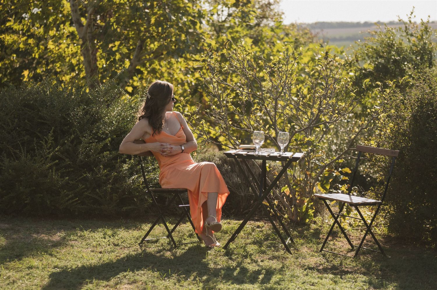 Sunlit garden setting with chairs arranged among autumn foliage.