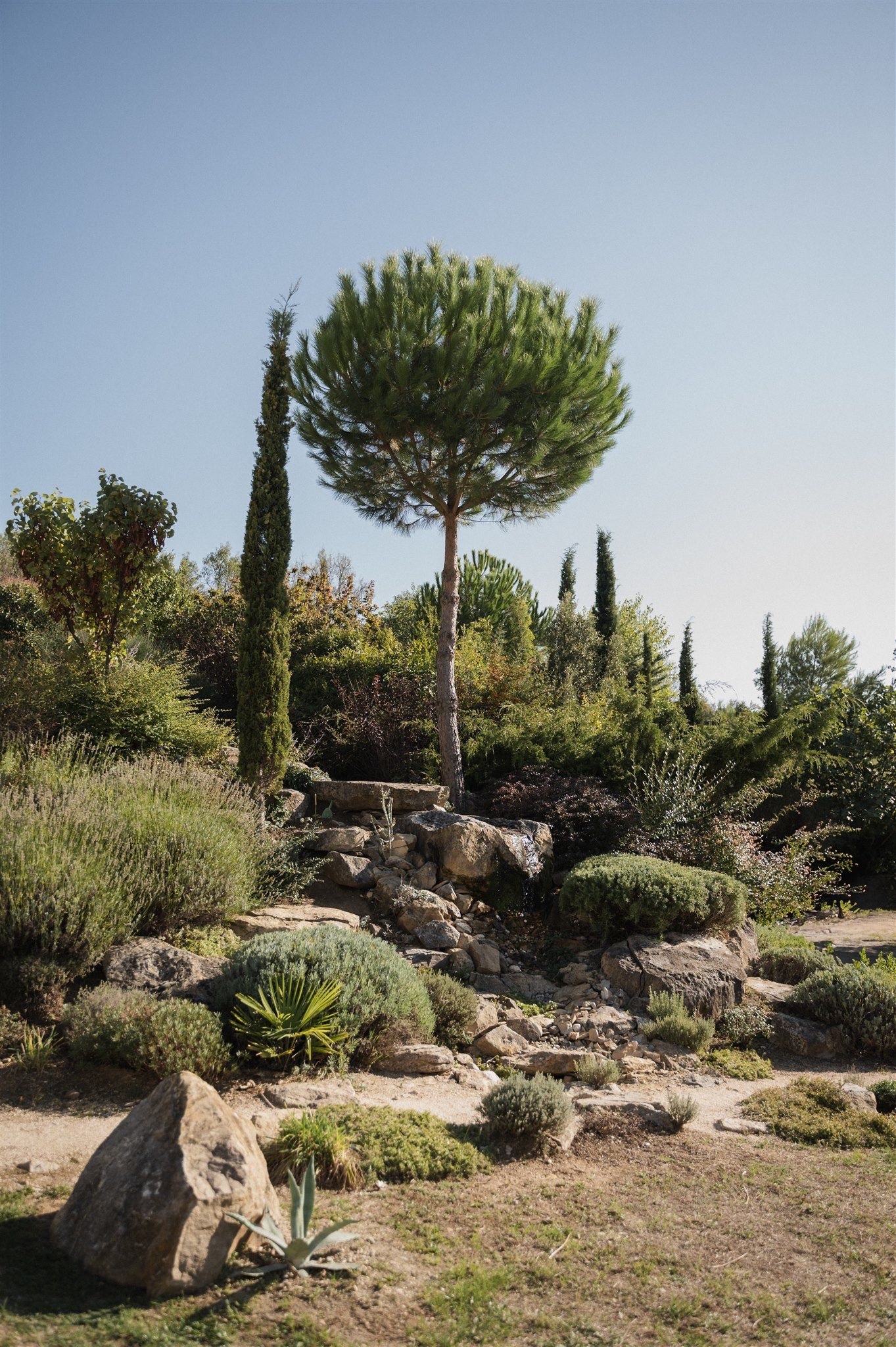 Mediterranean garden landscape with stone pathways, cypress trees and decorative rocks in a rustic setting.