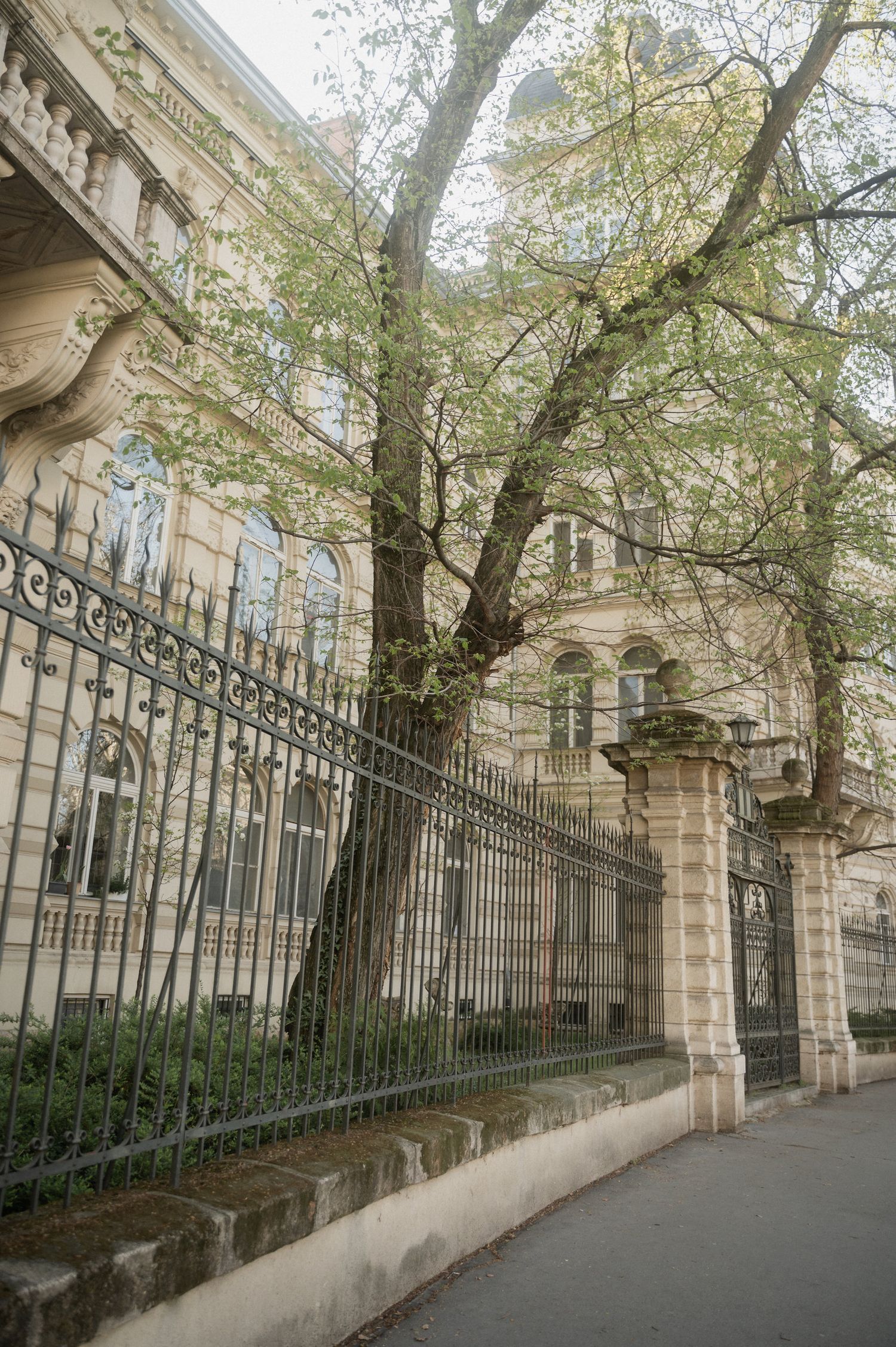 Ornate iron fence and stone columns line a historic building facade with leafy trees overhead along a paved walkway.