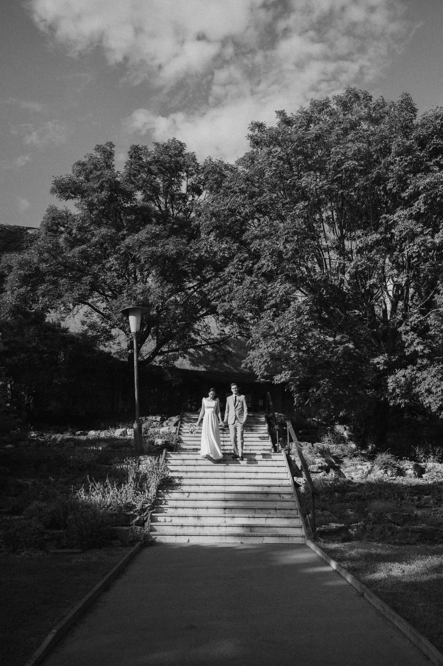 A series of black and white photographs showing stone steps leading up a path surrounded by trees and foliage.