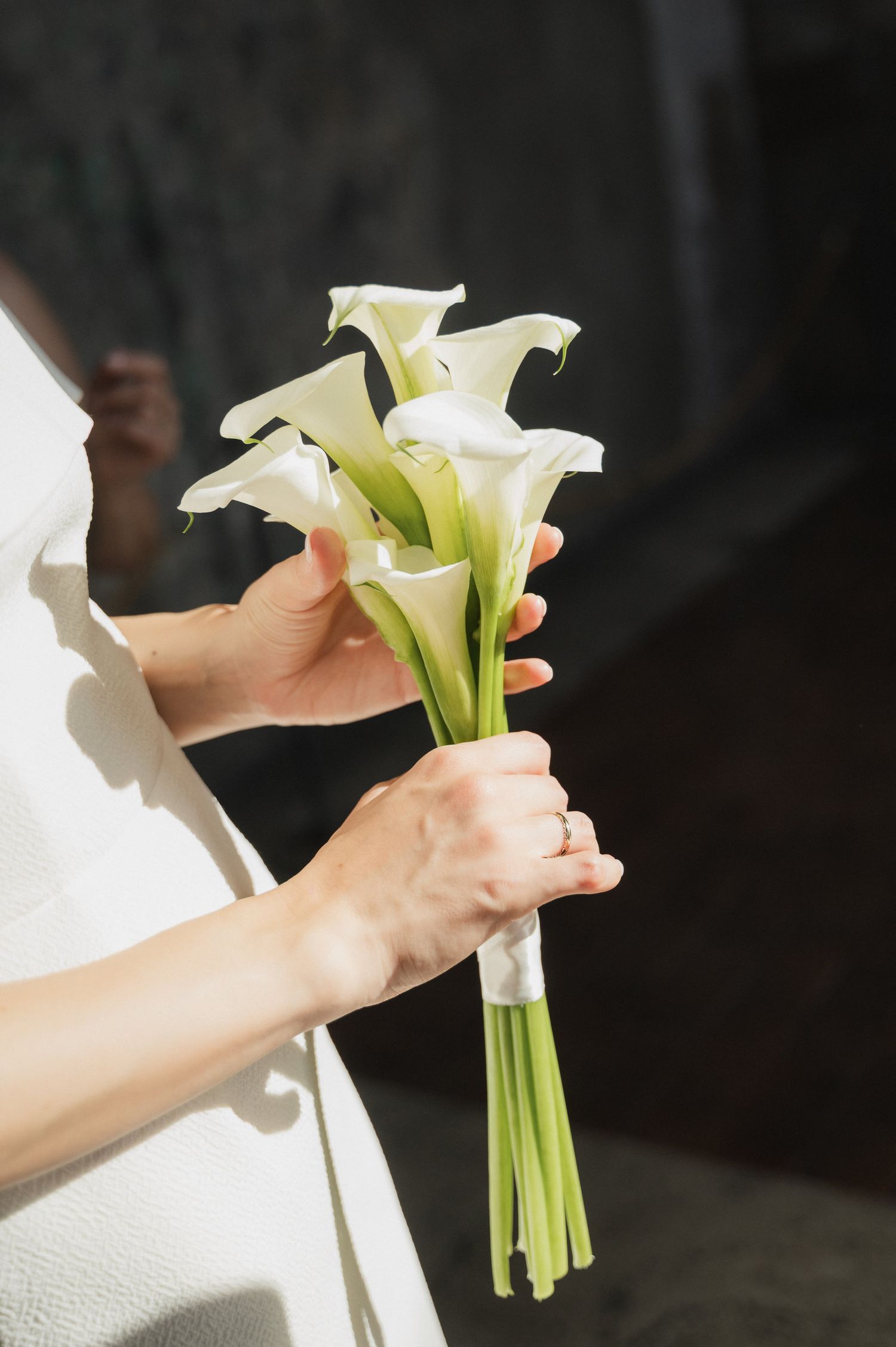 Elegant white calla lily bouquet held against sunlit background.