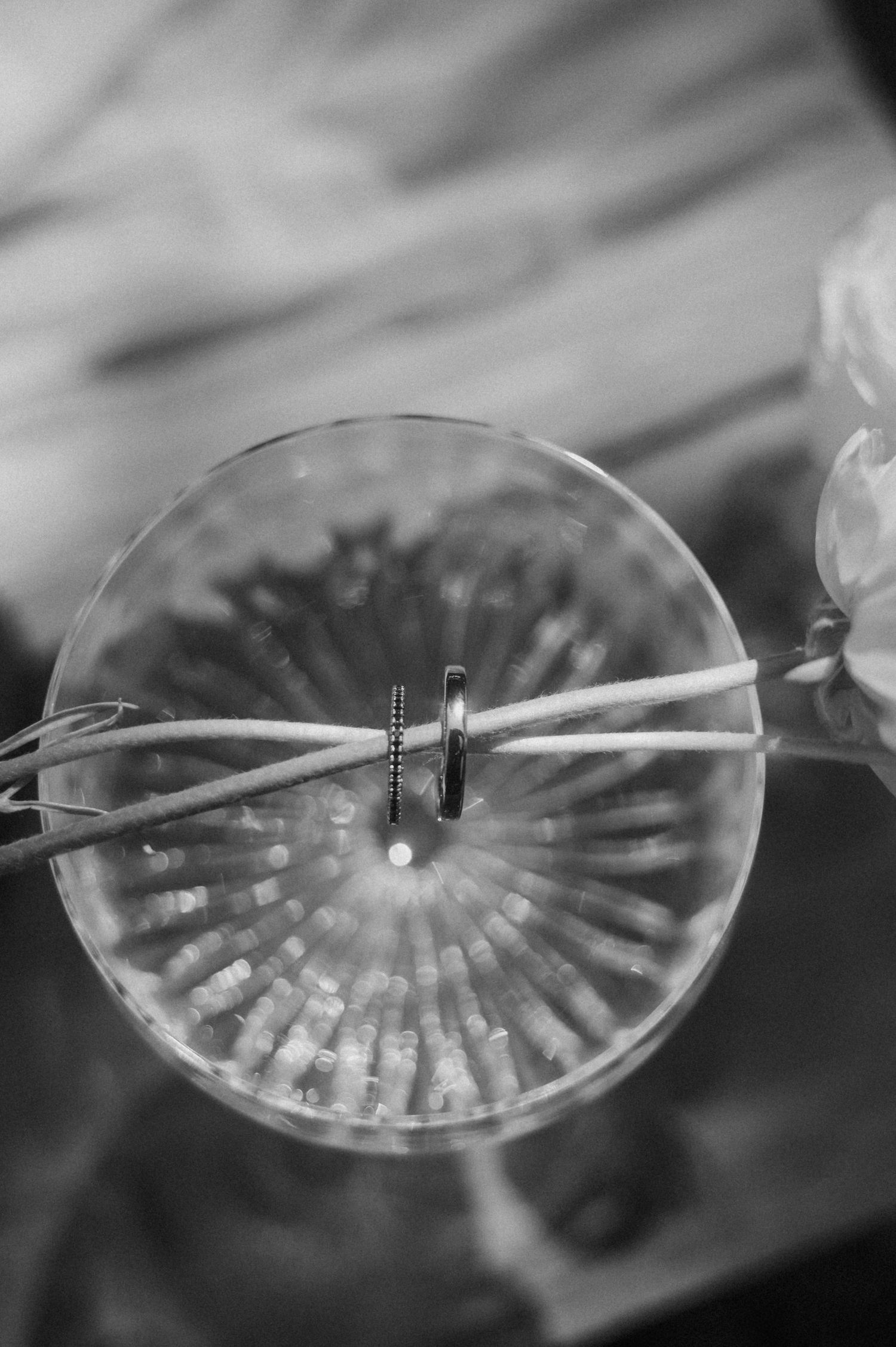 A sequence of black and white macro photographs showing water droplets forming and falling from a delicate surface.