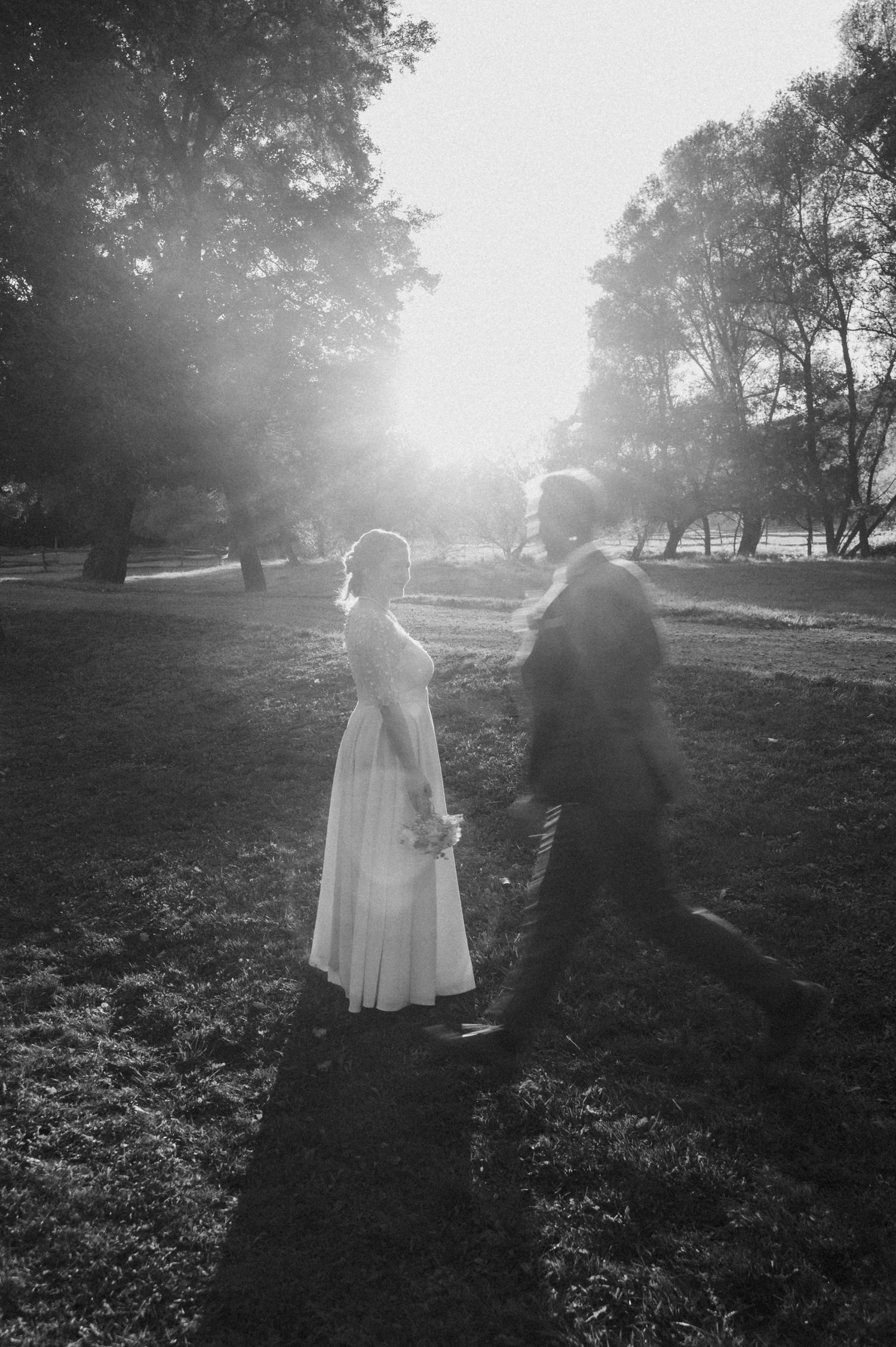 A series of dreamy black and white photos showing silhouettes in a misty park with sunlight streaming through trees.