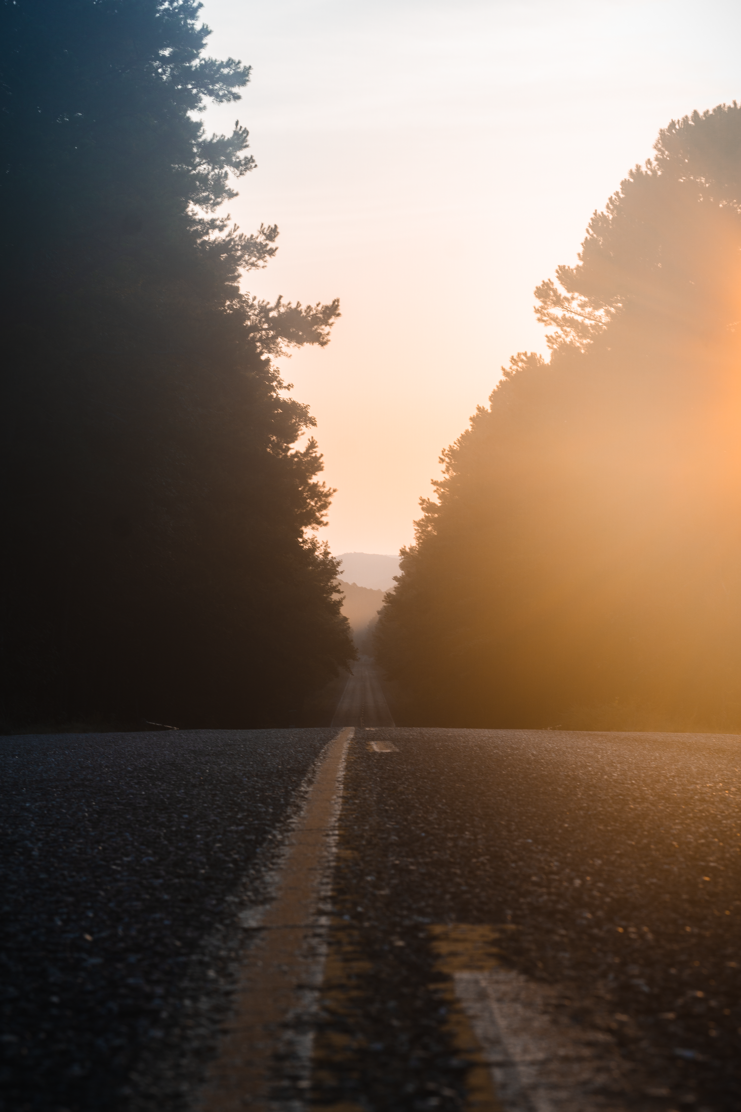 A misty road stretches into the distance with golden sunlight filtering through trees on both sides.