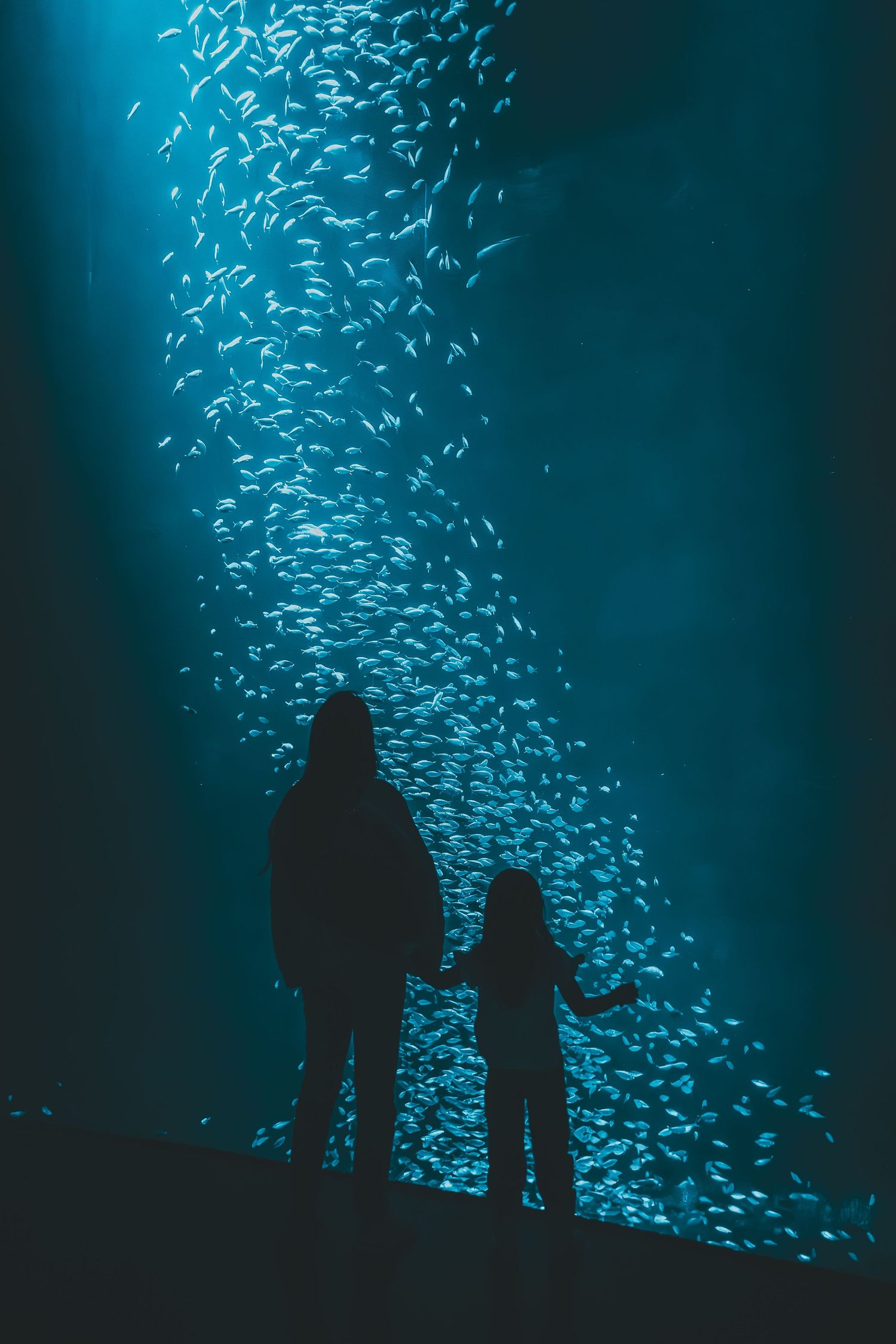 Two silhouettes stand before a mesmerizing display of swimming fish in an aquarium.