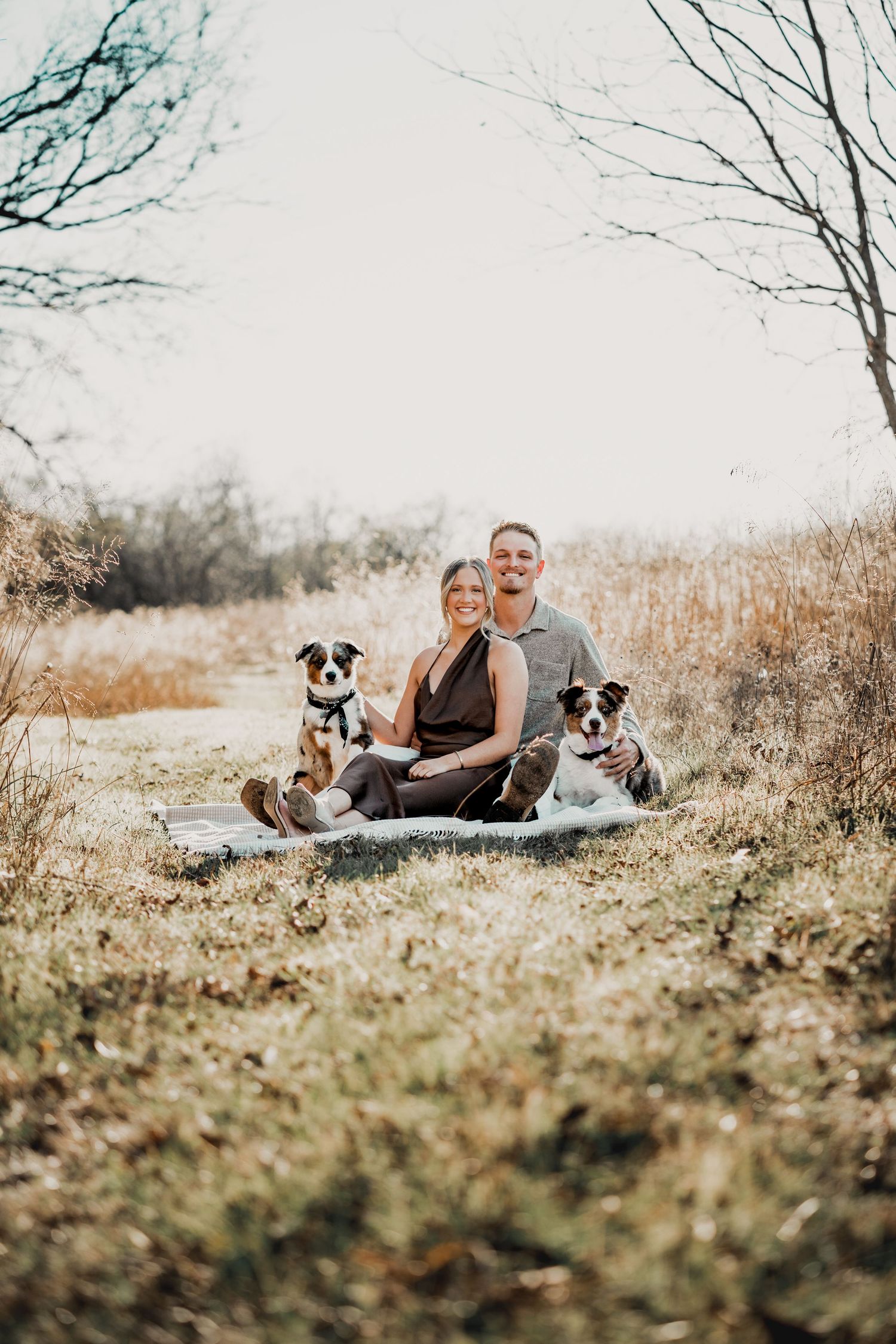A couple relaxes on grass with their dogs during an outdoor photoshoot.
