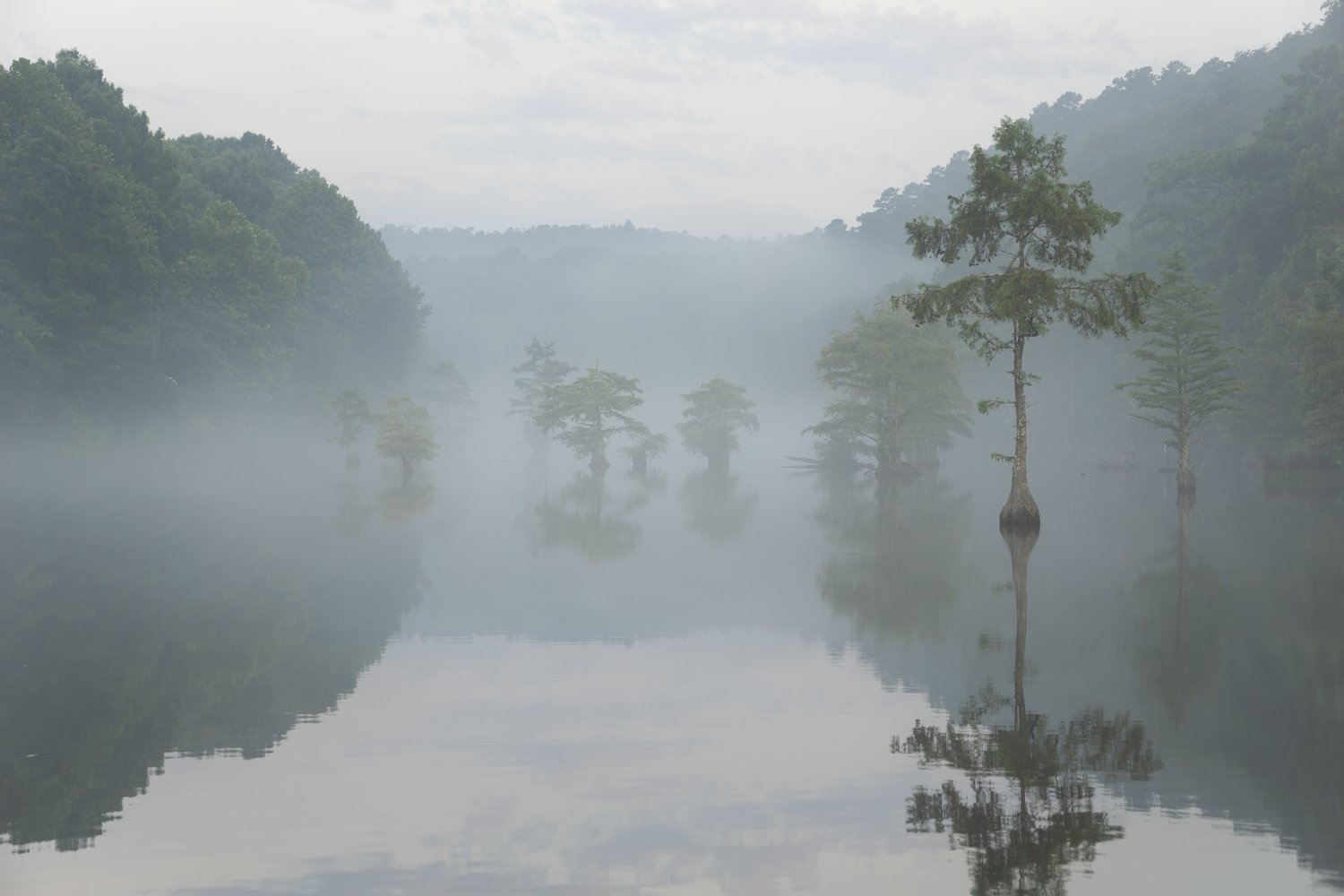 Misty lake landscape with trees reflected in still morning water.
