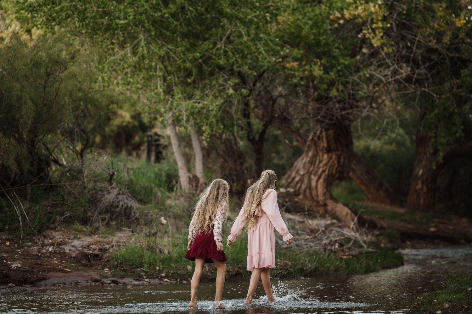 Fate Texas family photographer