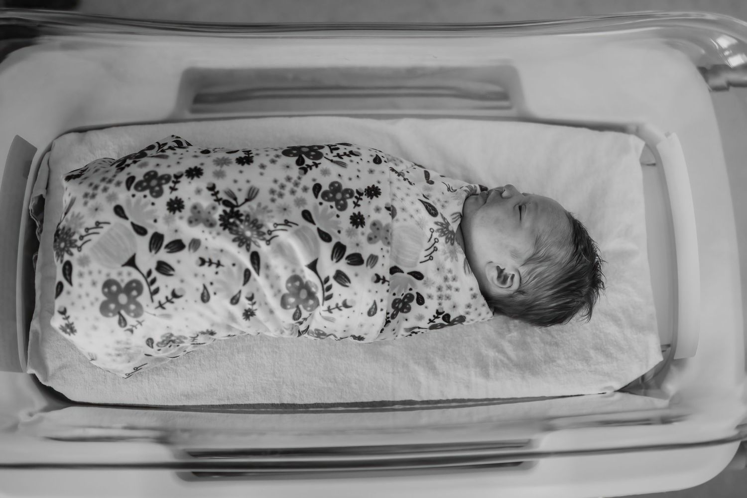 Fate Texas maternity photographer
