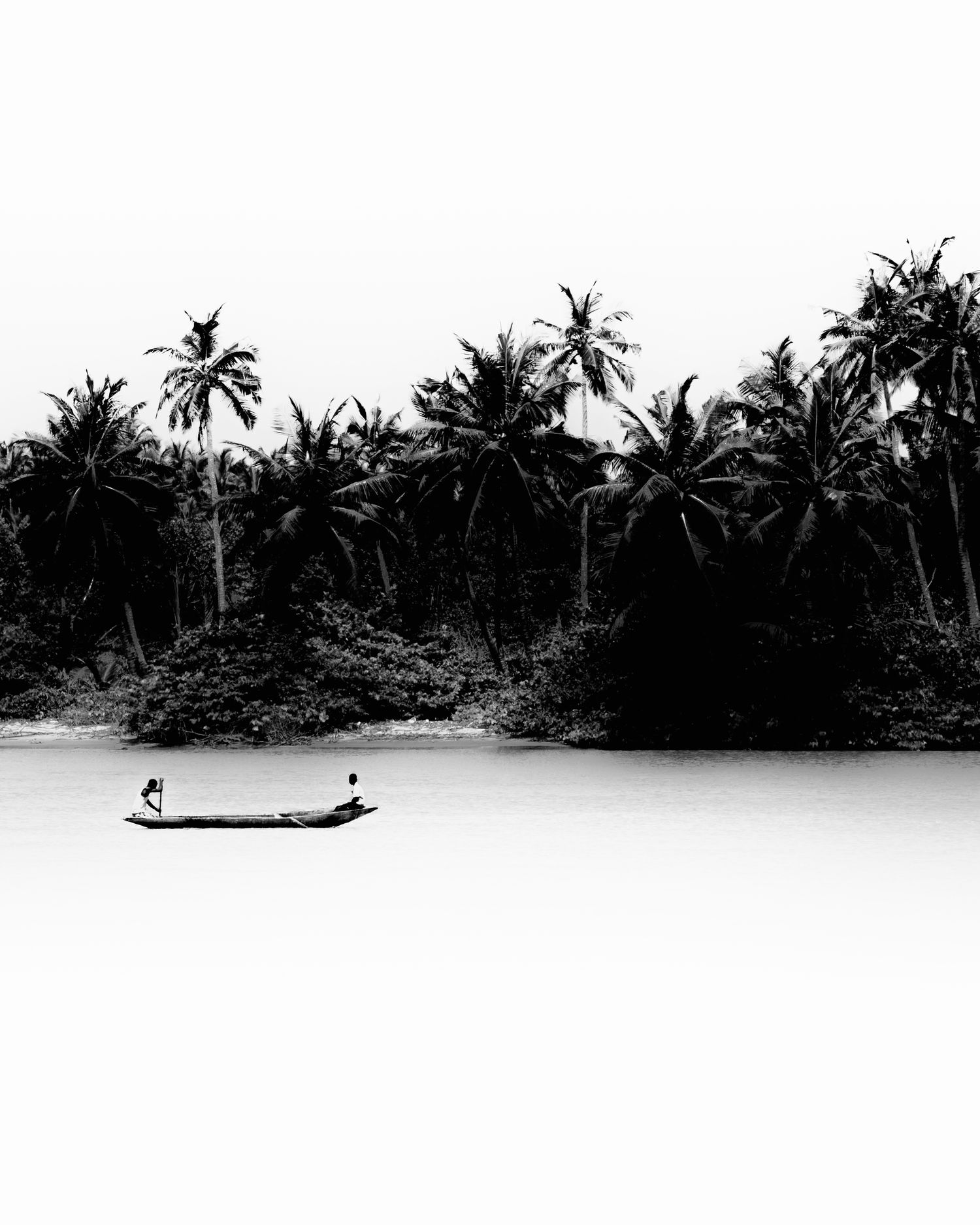 A scenic black and white panoramic view of a tropical coastline with palm trees lining the shore.