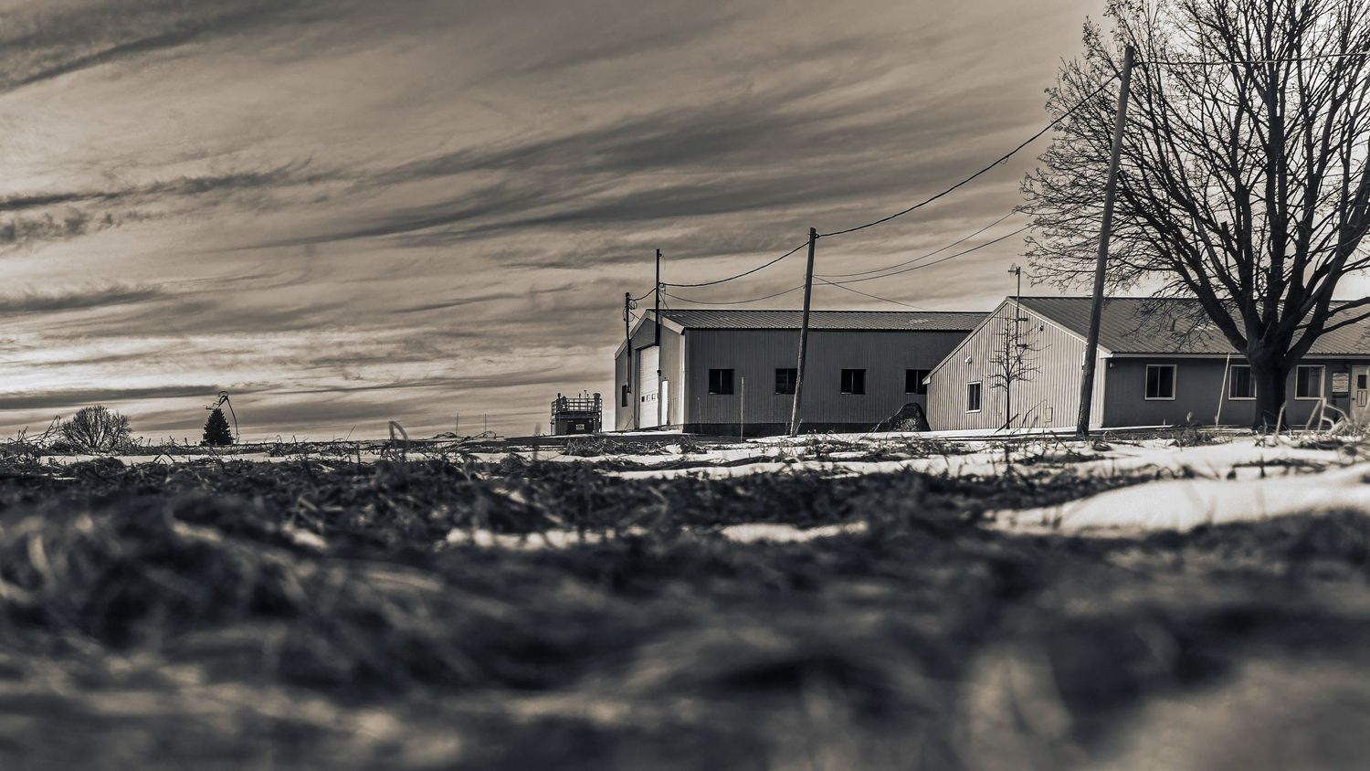 Grayscale panoramic landscape featuring a rural building and stark winter trees.