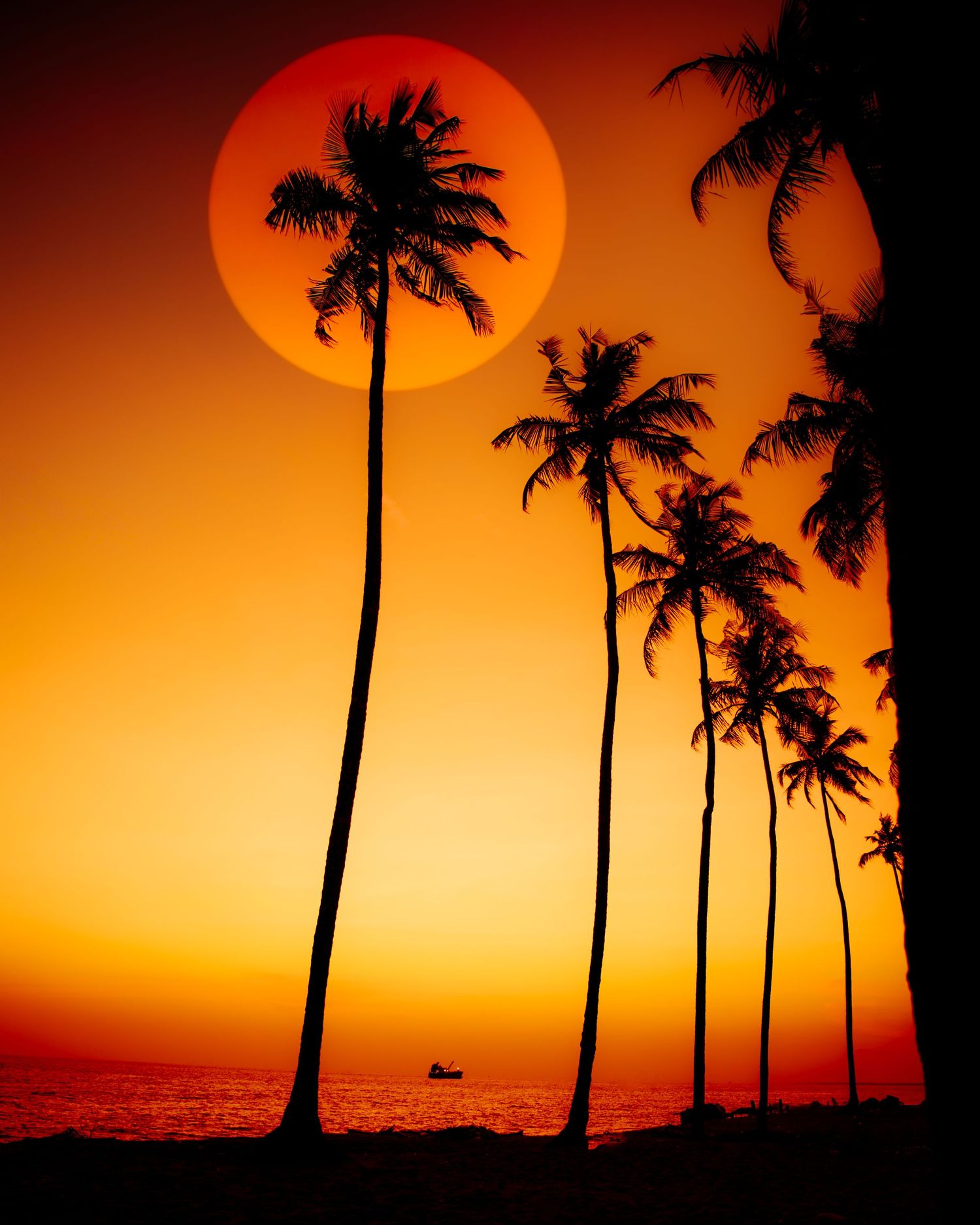 Silhouetted palm trees line a tropical beach at sunset with a large orange sun and dramatic red sky over the ocean.