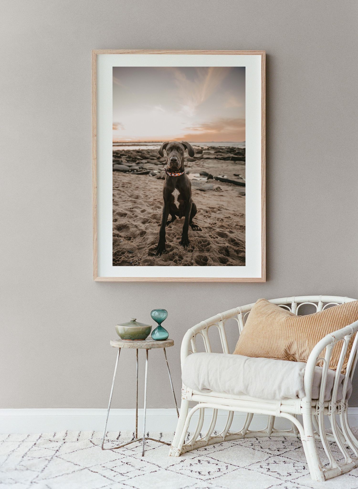 A framed portrait of a black dog sitting on a rocky beach during sunset.