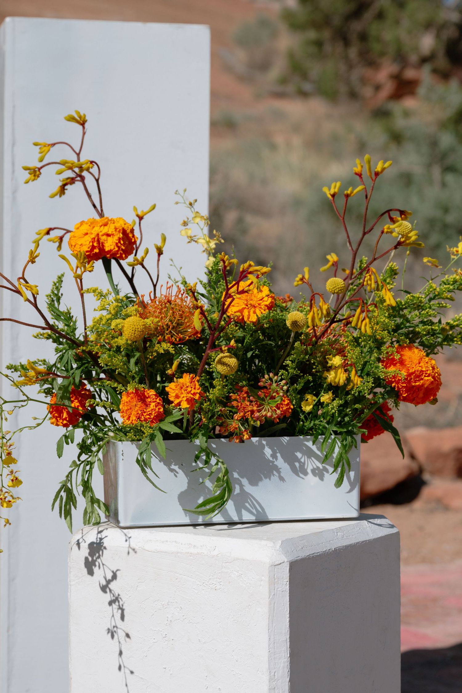 Vibrant orange and yellow marigold floral arrangement in a white rectangular planter on a white pedestal.