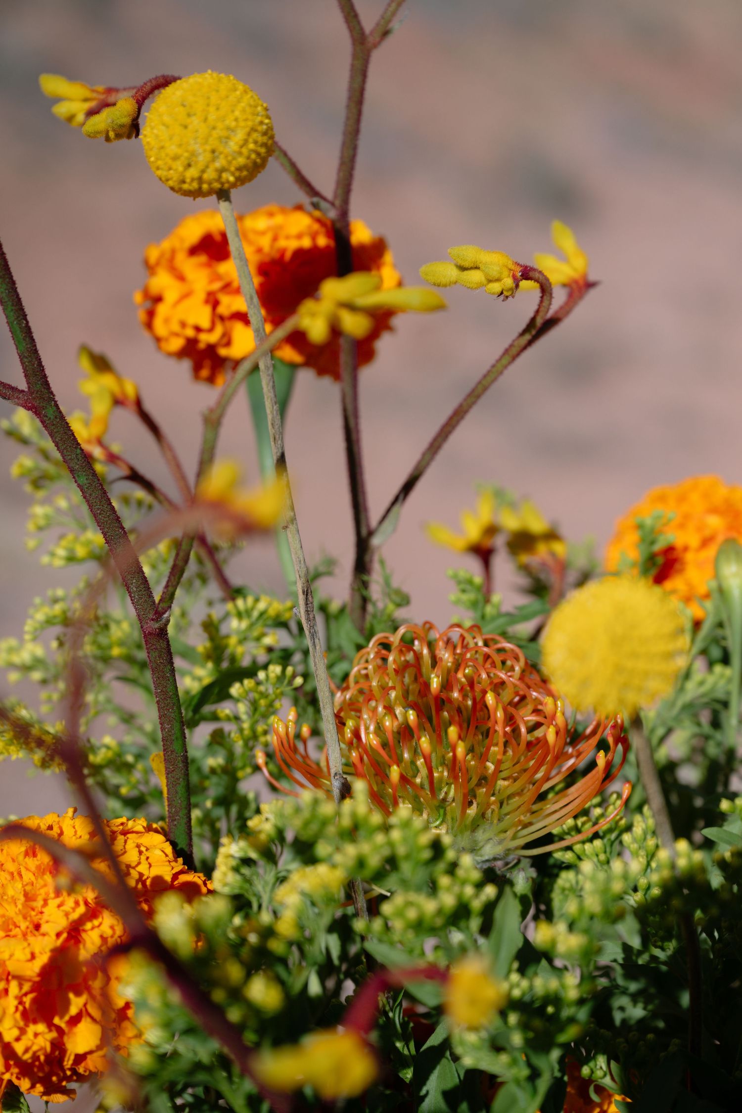 Vibrant bouquet of orange marigolds, yellow craspedia, and pincushion protea flowers arranged in a warm autumn floral display.