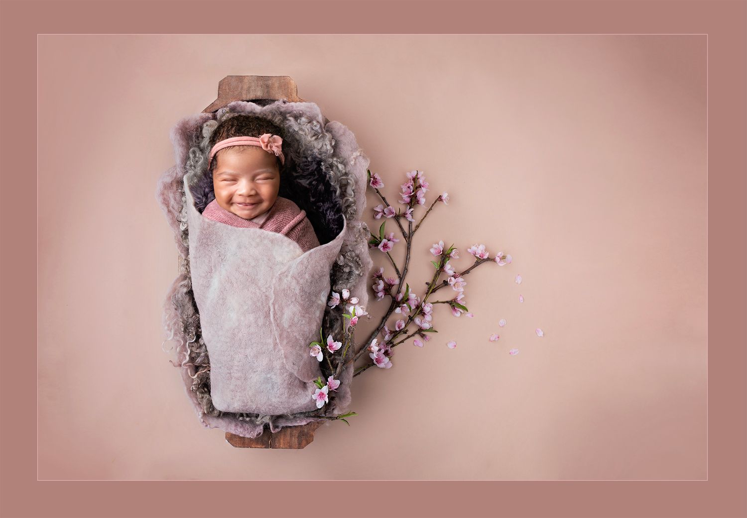 Tampa, FL Newborn Portrait Studio