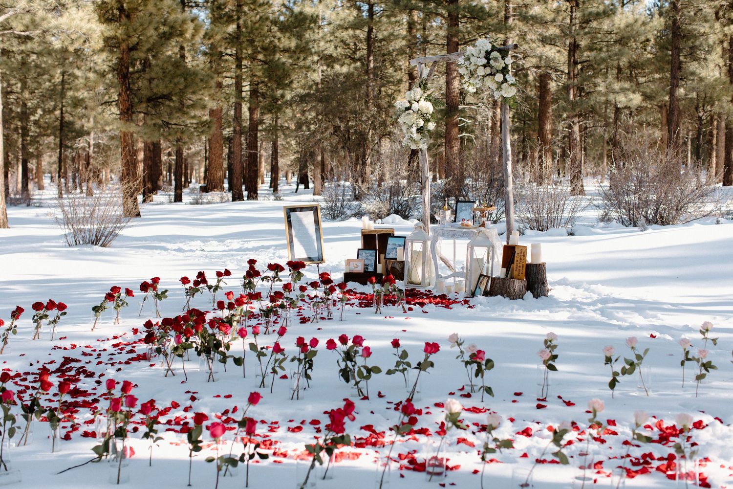 Red rose petals create path through snowy forest leading to decorated wooden arch.