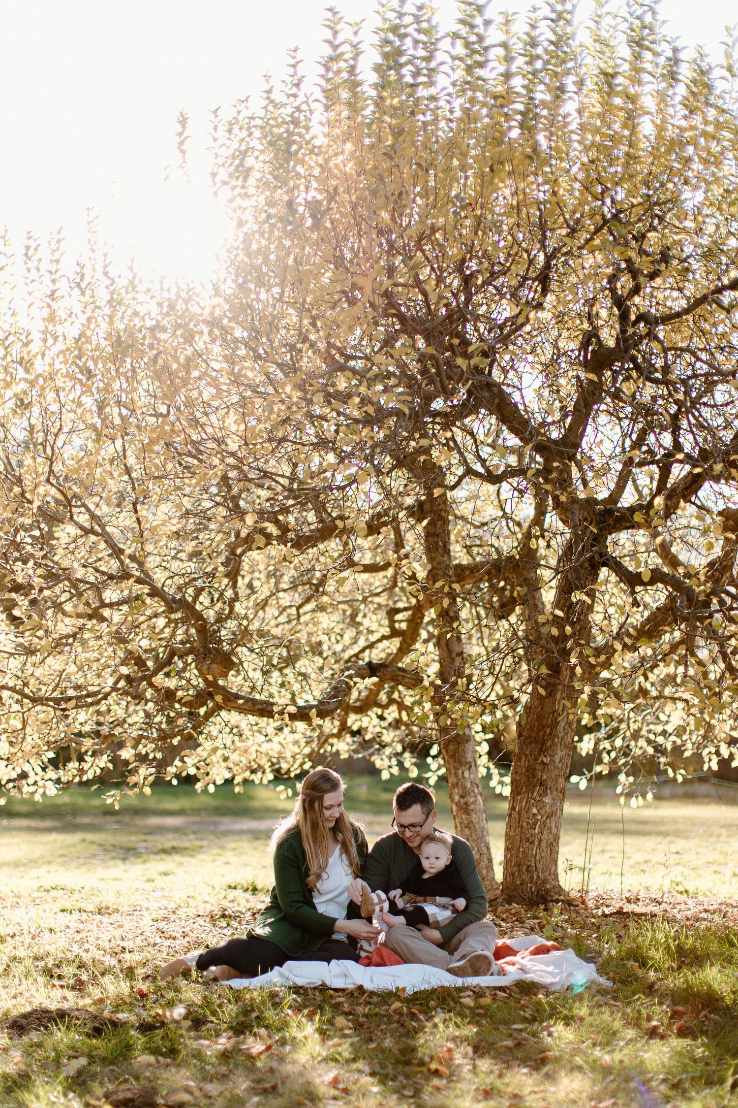 Couple enjoys romantic spring picnic under blooming cherry blossom tree on sunny afternoon.
