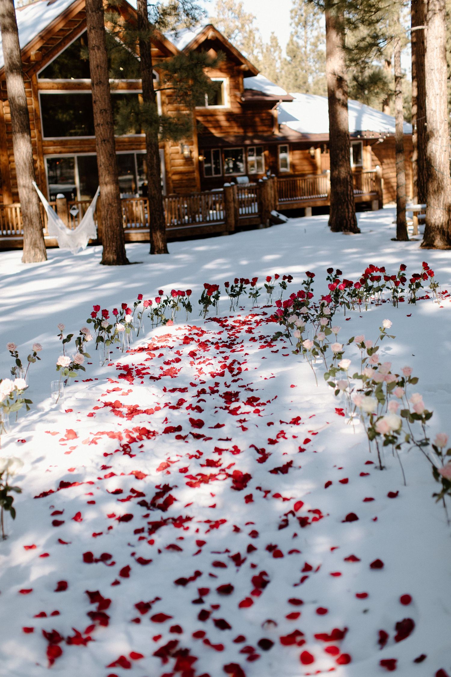 Log cabin in snowy forest with red rose petals scattered along winding path.