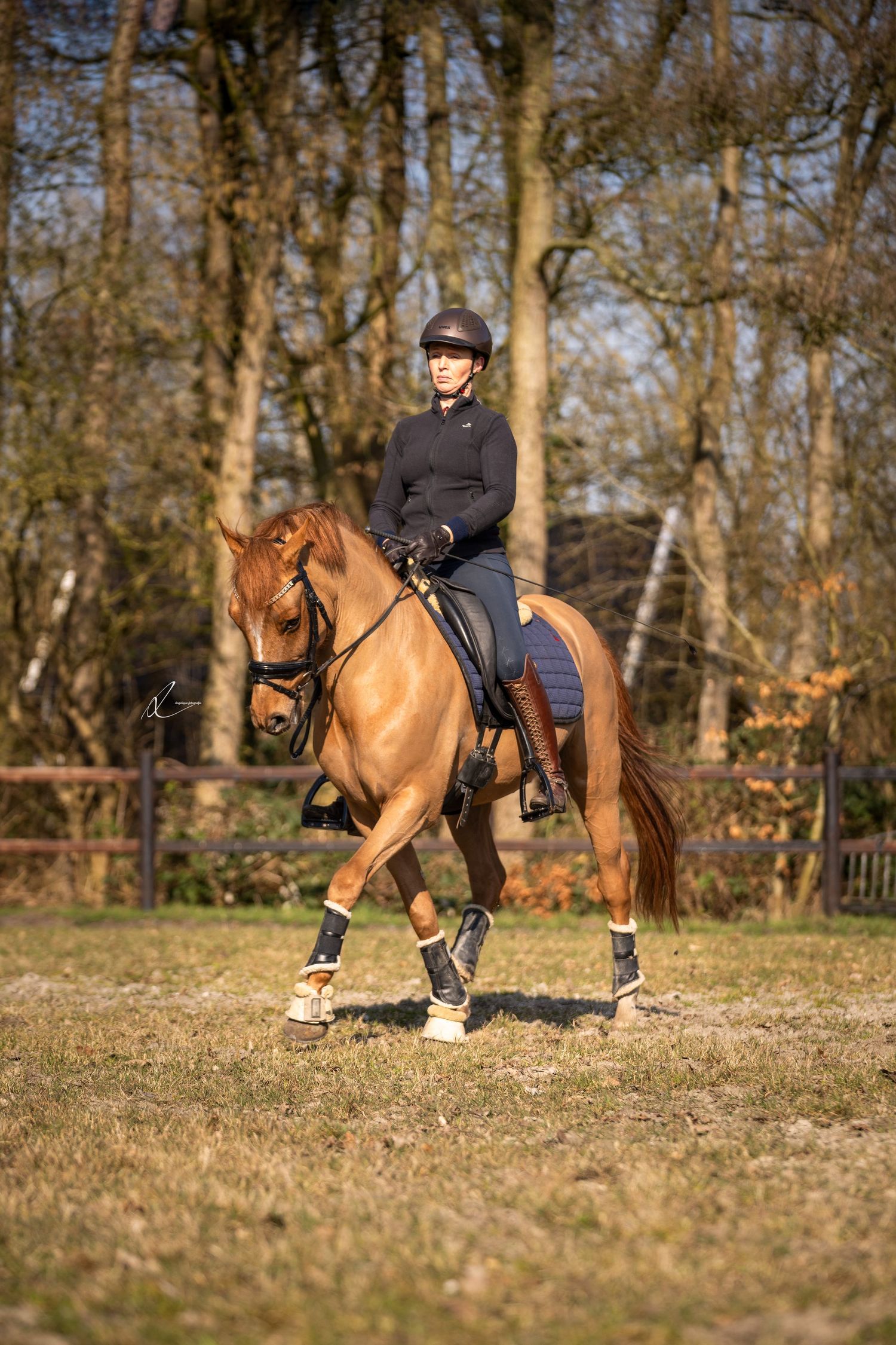 A rider in equestrian gear atop a chestnut horse performs dressage movements in a sunlit wooded arena.