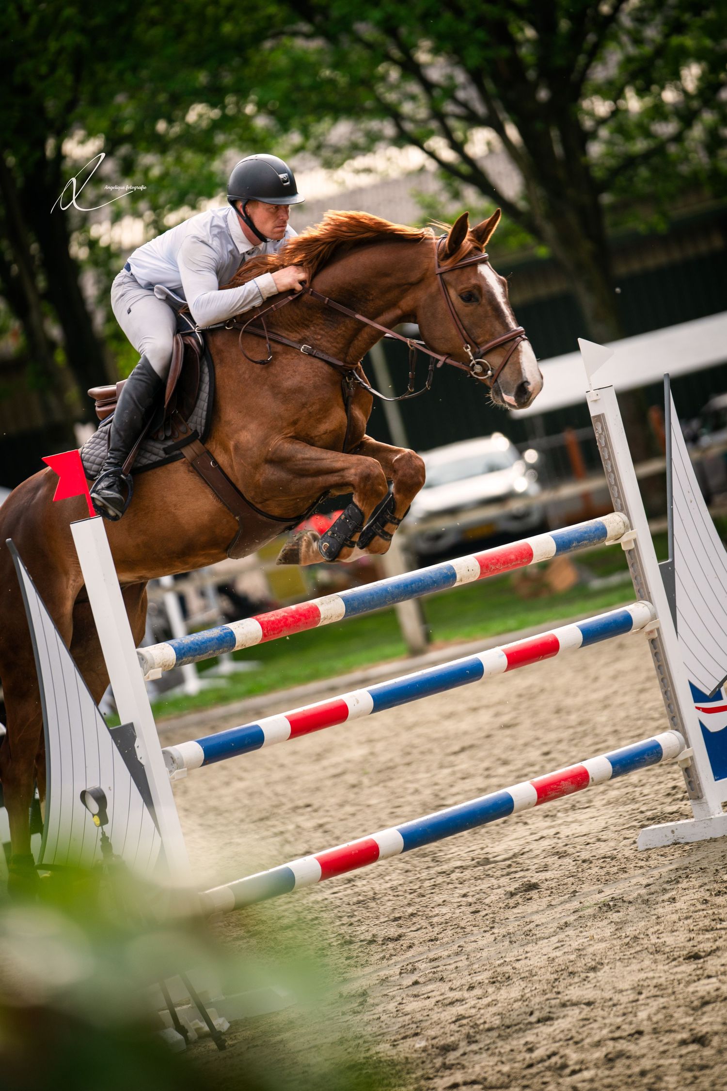 A chestnut horse and rider clearing a red white and blue show jumping obstacle in an outdoor arena.