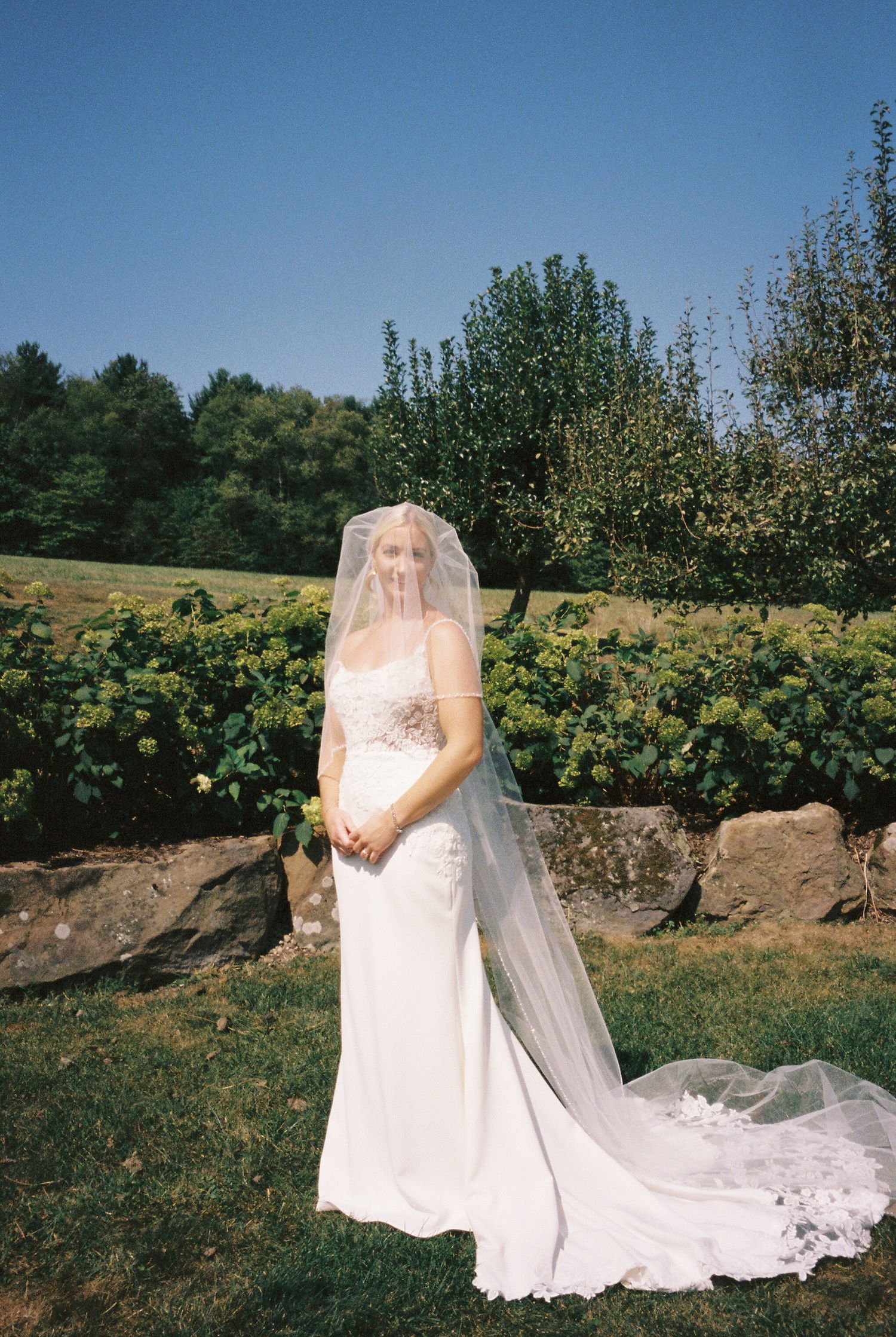 A romantic outdoor bridal portrait showing a flowing white wedding dress and veil against a scenic vineyard landscape.