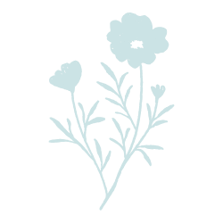 A minimalist light blue floral illustration featuring delicate wildflowers and leaves on white background.