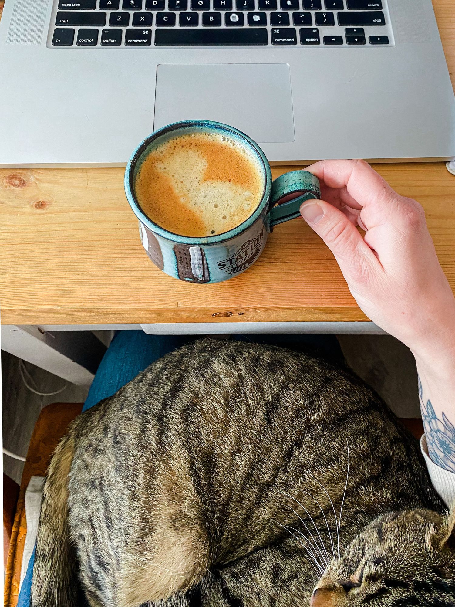 A computer, a coffee, and a cat, while someone works from home.