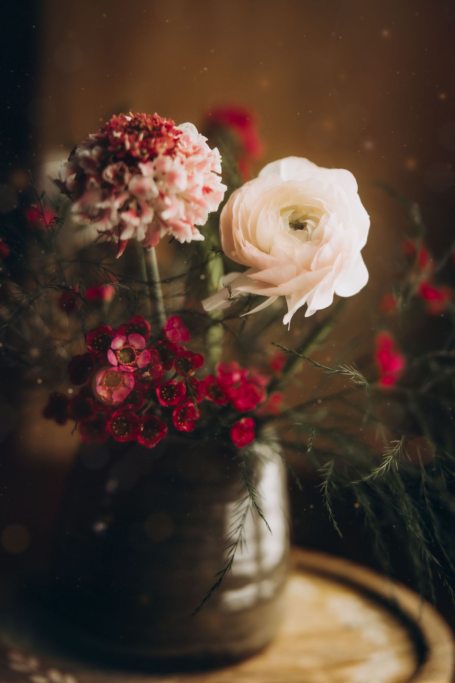 Christi Shay Fine Art Photography Botanical