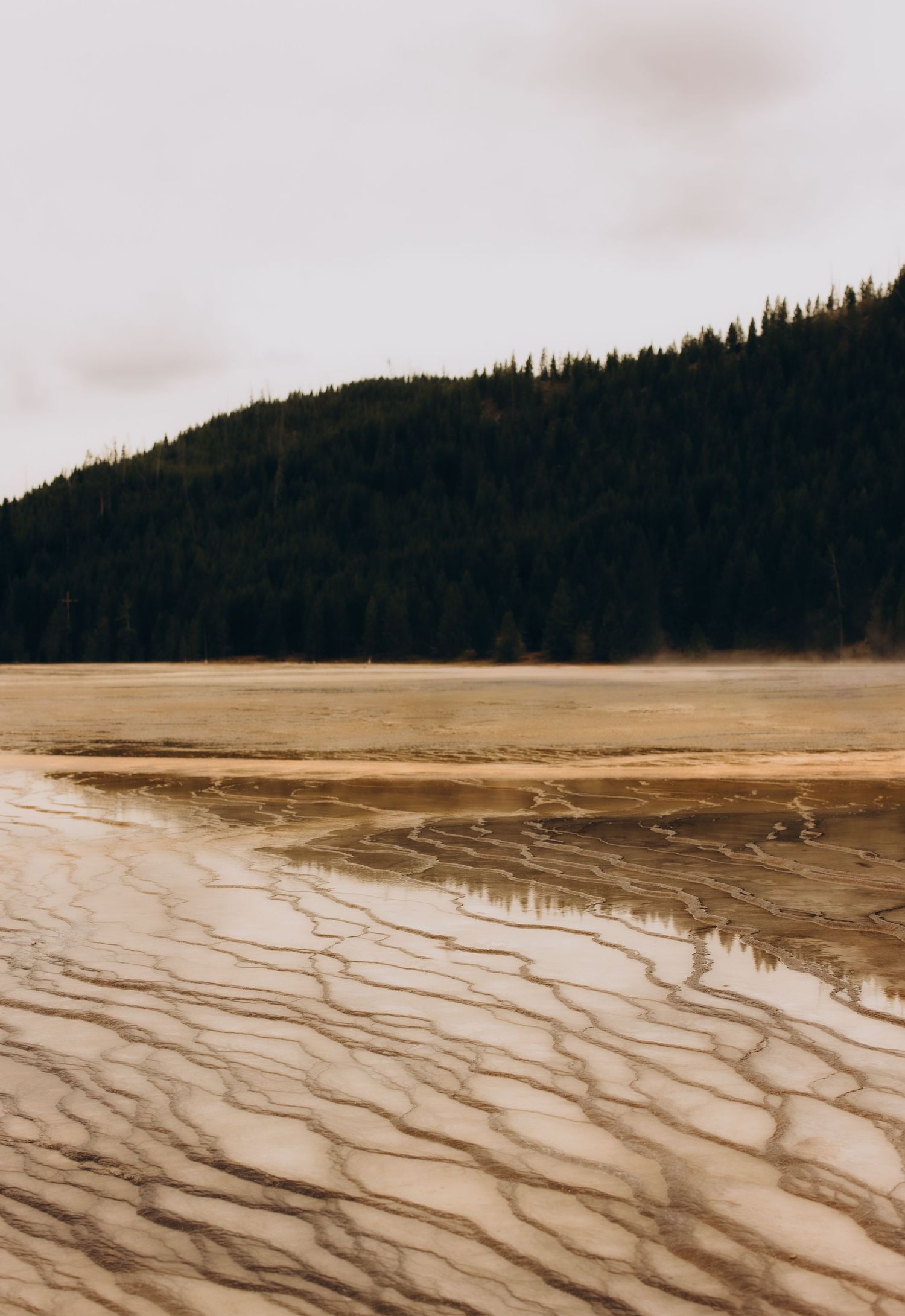 Christi Shay Fine Art Photography The Quiet West Yellowstone National Park