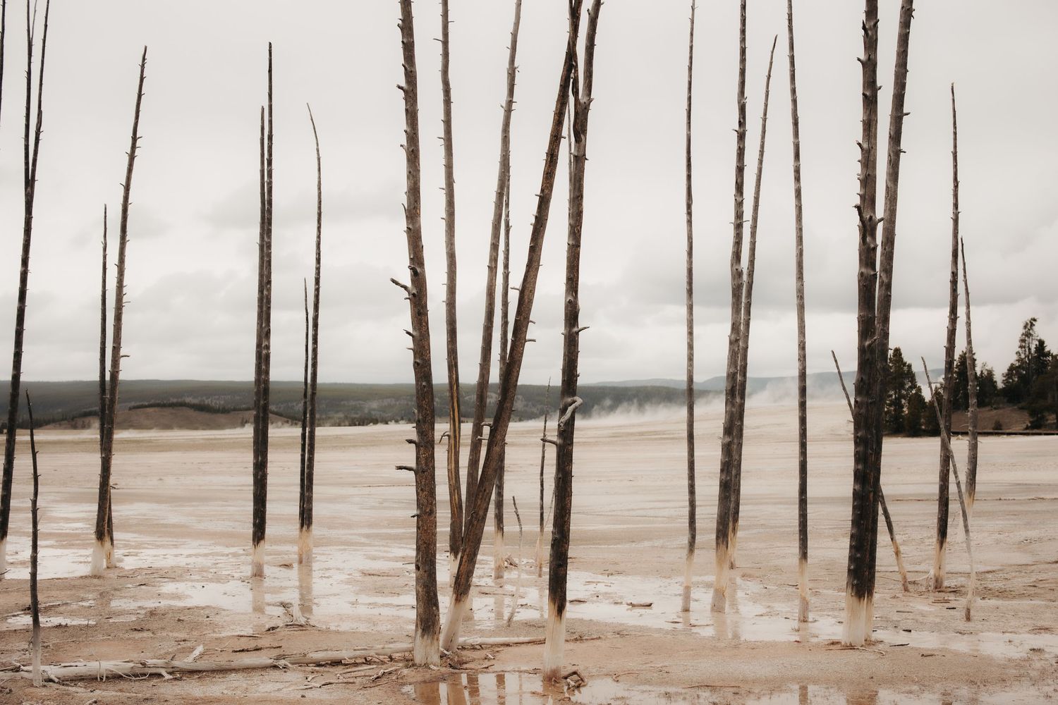 Christi Shay Fine Art Photography The Quiet West Yellowstone National Park