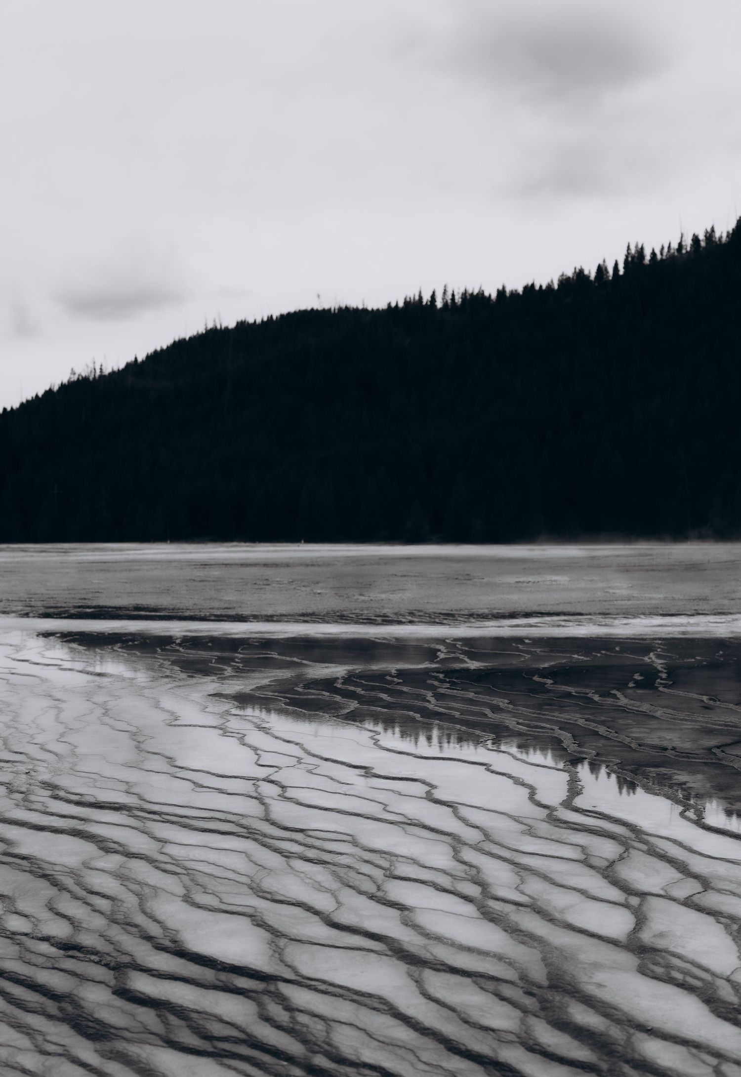 Christi Shay Fine Art Photography The Quiet West Yellowstone National Park