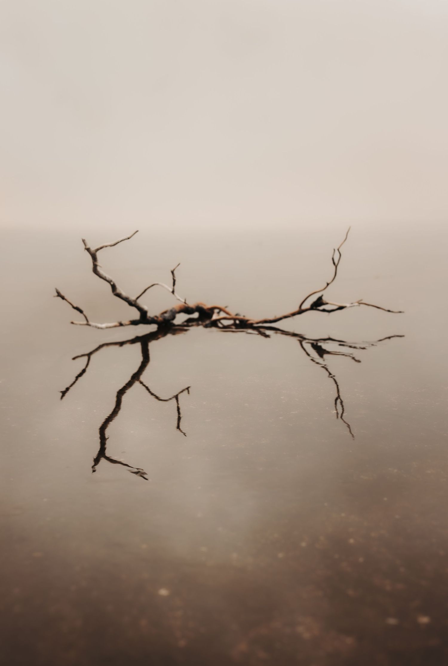 Christi Shay Fine Art Photography The Quiet West Yellowstone National Park