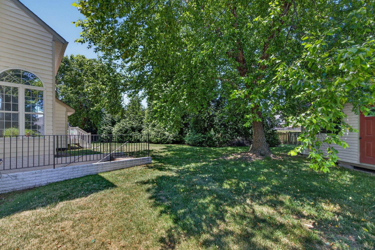 Lush green backyard with mature shade tree, manicured lawn, decorative fence, and adjacent home exterior on a sunny day.