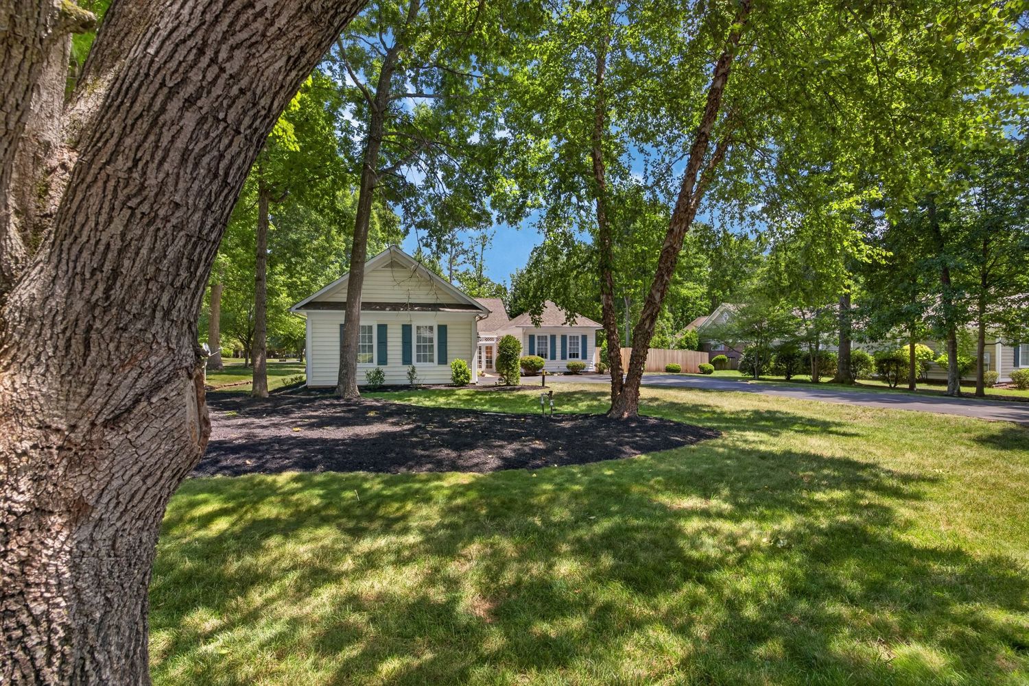 Charming suburban home surrounded by lush green trees and manicured lawn on a sunny day.