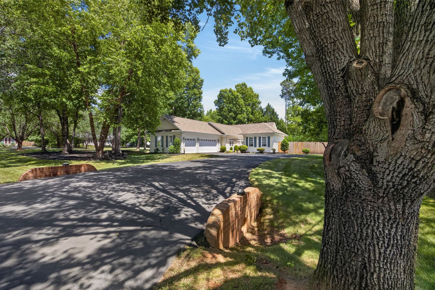 Tree-lined driveway leads to a charming single-story home with lush green lawn and mature shade trees.