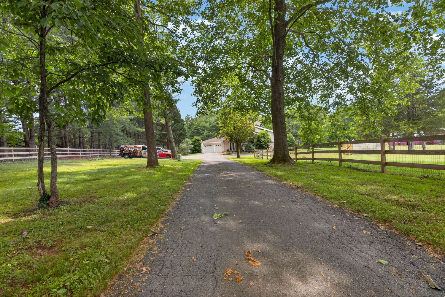 Tree-lined paved driveway leading to a rural property with wooden fencing and lush green lawn on a sunny day.