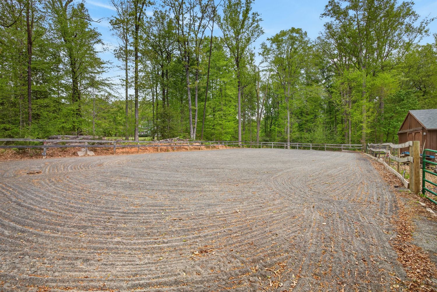Groomed gravel riding arena surrounded by lush green trees and wooden fencing in a serene wooded setting.