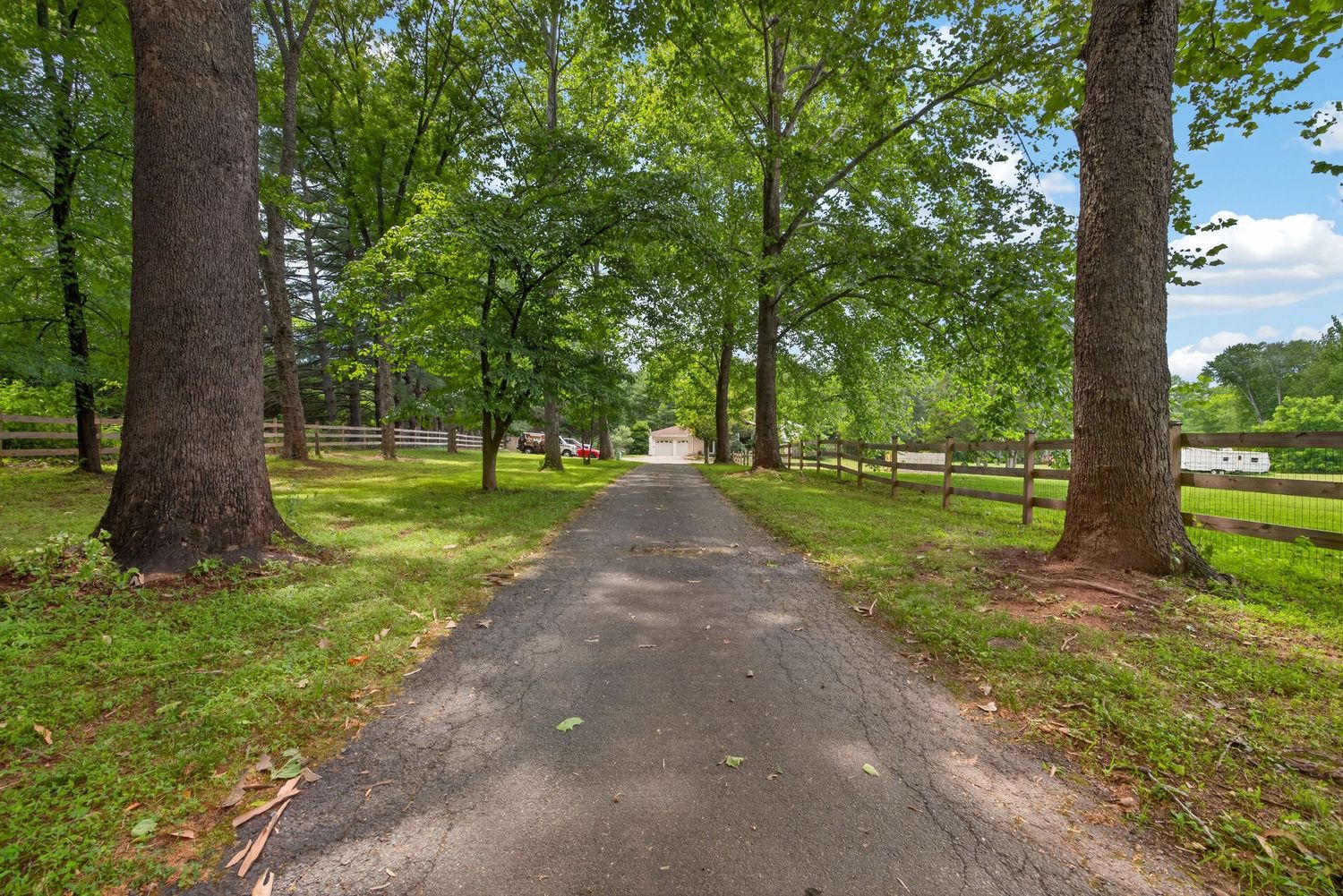 Tree-lined paved driveway leading to a country home surrounded by lush green grass and mature trees.