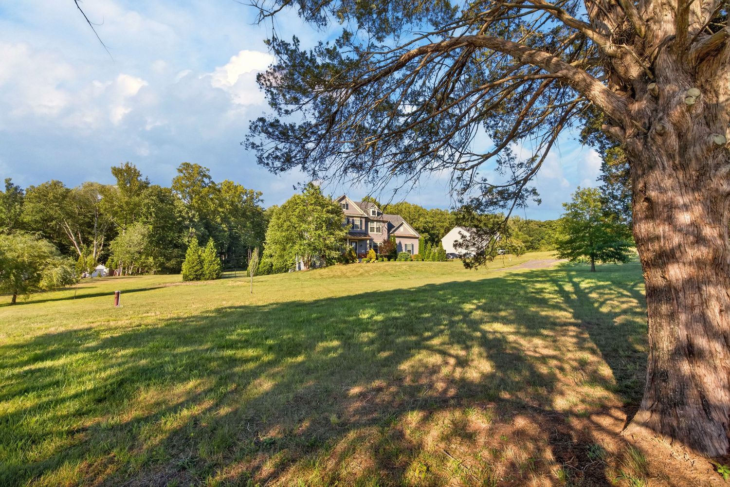 Expansive green lawn with large trees framing a charming country home under a blue sky with wispy clouds.
